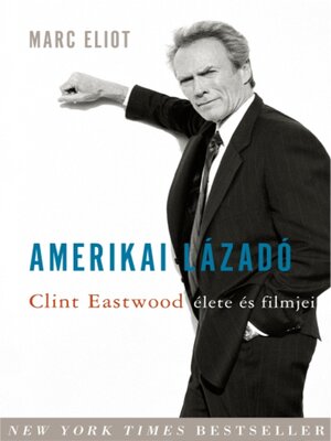 cover image of Amerikai lázadó